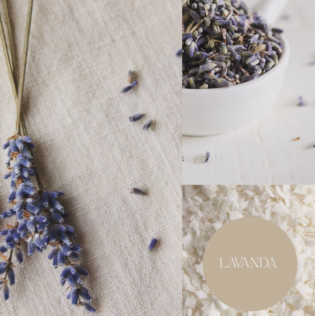 Lavanda